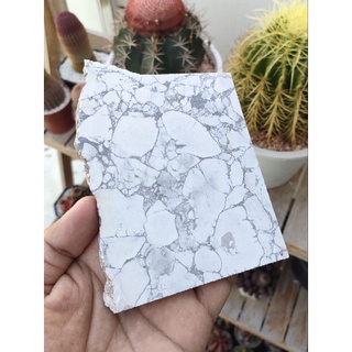 🌿 ฮาวไลต์ แท้ แบบเเผ่นขัดเรียบ ไม่ขัดเงา ✨ ( Howlite )