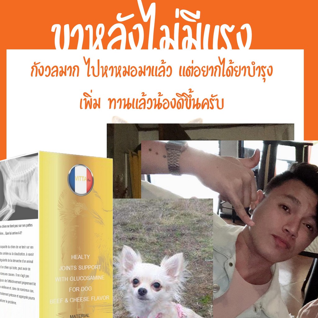 อัลบั้ม 94+ ภาพ สุนัขมีอาการชักเกร็ง น้ำลายฟูมปาก ความละเอียด 2k, 4k