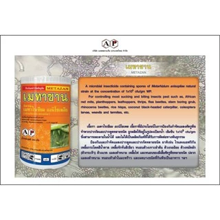 ชีวภัณฑ์ เมทาซาน เชื้อราเมตาไรเซียม อะนิโซเพล Metarhizium anisopliae 1000 กรัม