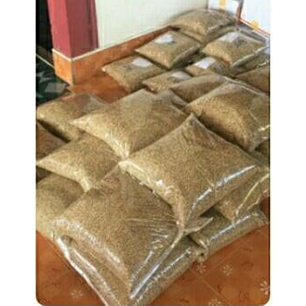 ขายส่ง 10 กิโลกรัม เมล็ดพันธุ์หญ้ารูซี่ Ruzi Grass หญ้าพันธุ์รูซี่ หญ้าคองโก้ Manila Grass หญ้าอาหาร