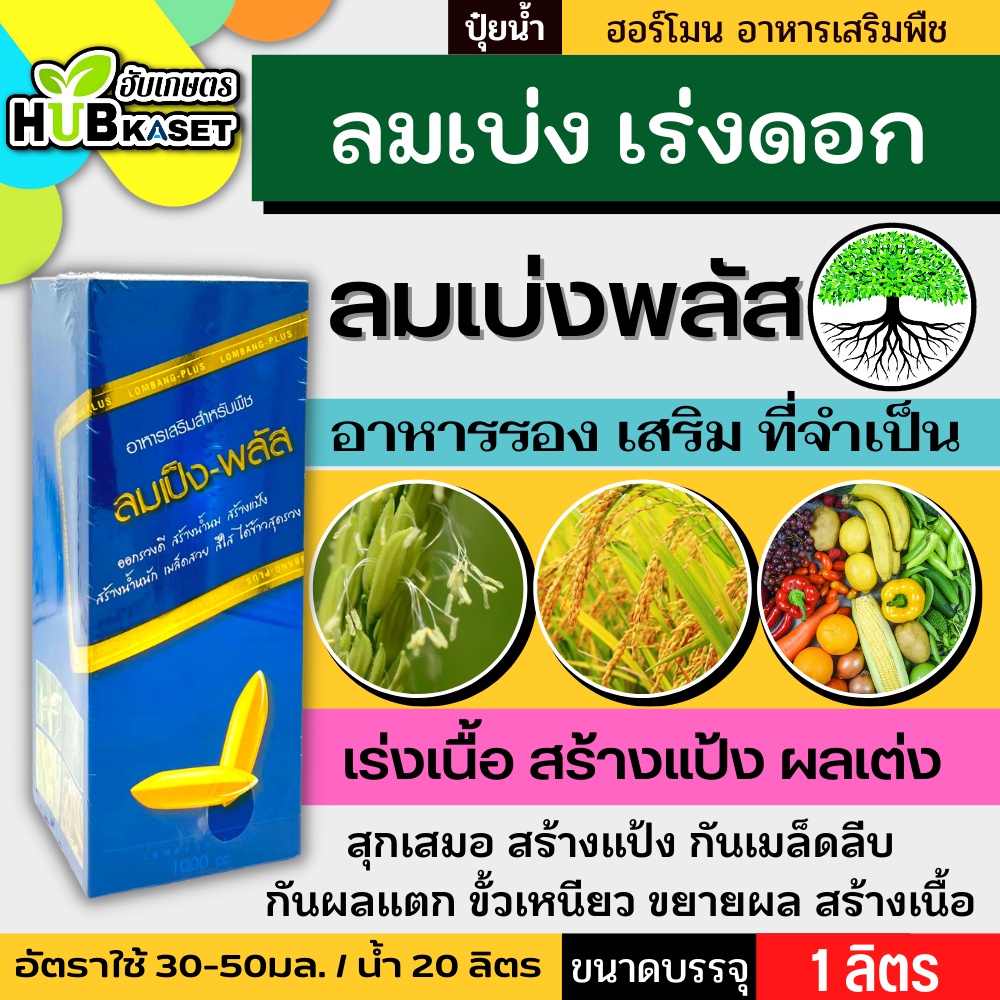 🥬 💥💥 สินค้ายกลัง 💥💥 ลมเบ่งพลัส (อาหารเสริมสูตรพิเศษ) บรรจุ 1ลิตร*12ขวด เมล็ดแน่น สร้างแป้ง เพิ่มน้ำหนัก