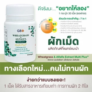 ผักเม็ดเสริมภูมิ Wheatgrass & Alfalfa Extract Plus Q10