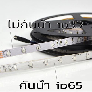 ไฟ led เส้น Strip 12v 2835 Eco 60leds/m 5M Indoor ip33