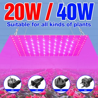 Grow Light Full Spectrum Grow โคมไฟในบ้านพืช Hydroponic โคมไฟต้นกล้า Quantum Board Phyto แสงเรือนกระจก