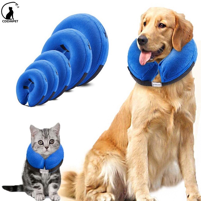 【CDDMPET】ปลอกคอพองลม ทรงกลม ป้องกันการกัด สําหรับสัตว์เลี้ยง สุนัข แมว ขนาดเล็ก ขนาดใหญ่
