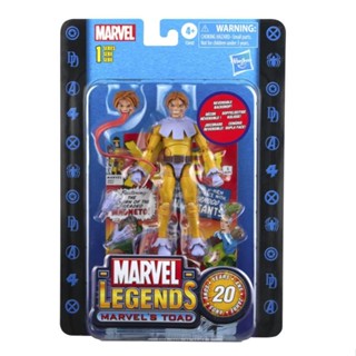 No After-Sales Marvel Legends การ์ดติดผนัง ครบรอบ 20 ปี 20 ซม. 95660