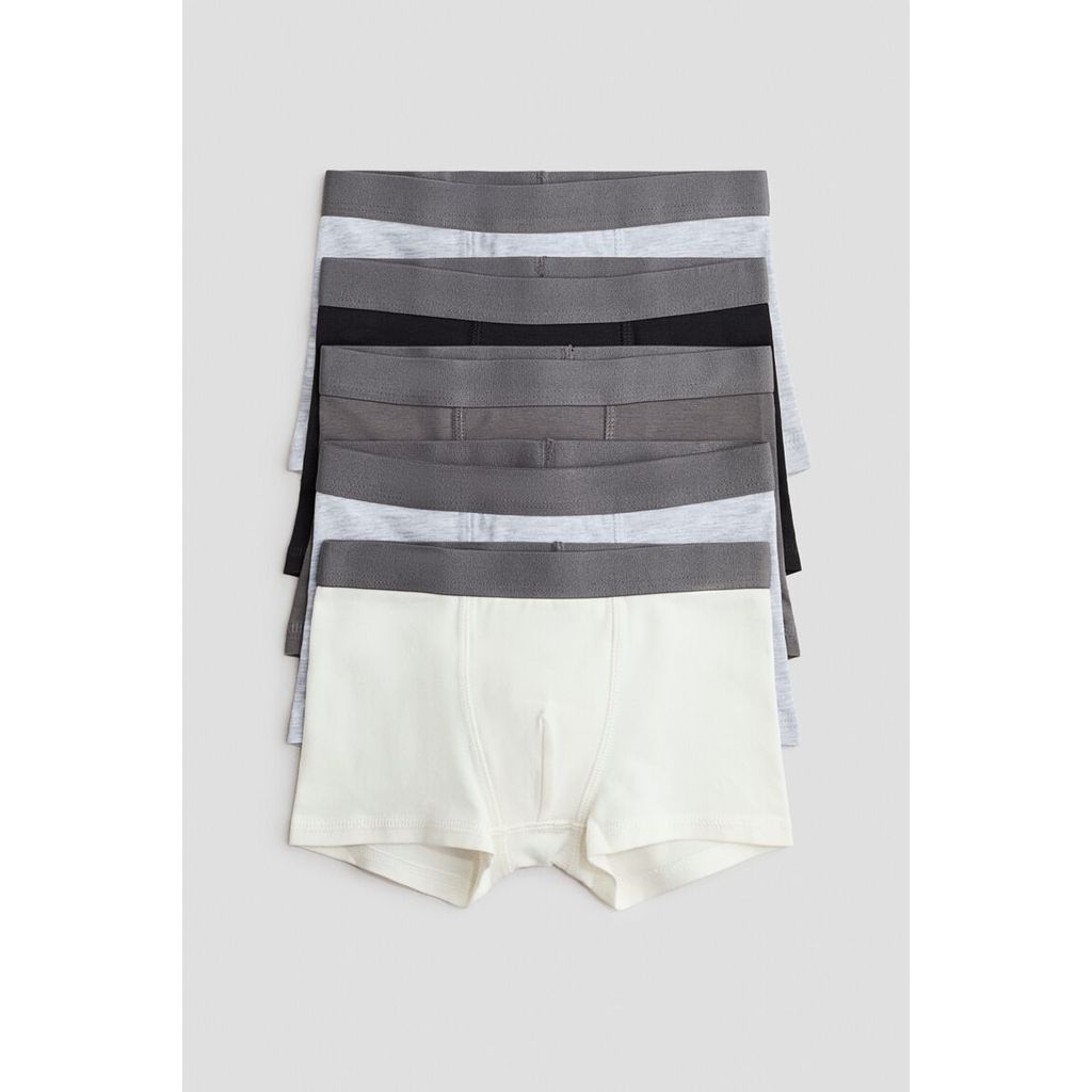 H&M(เอชแอนด์เอ็ม) กางเกงในบ็อกเซอร์แพ็ค 5 ตัว Boys 5-pack trunks 0589520_5