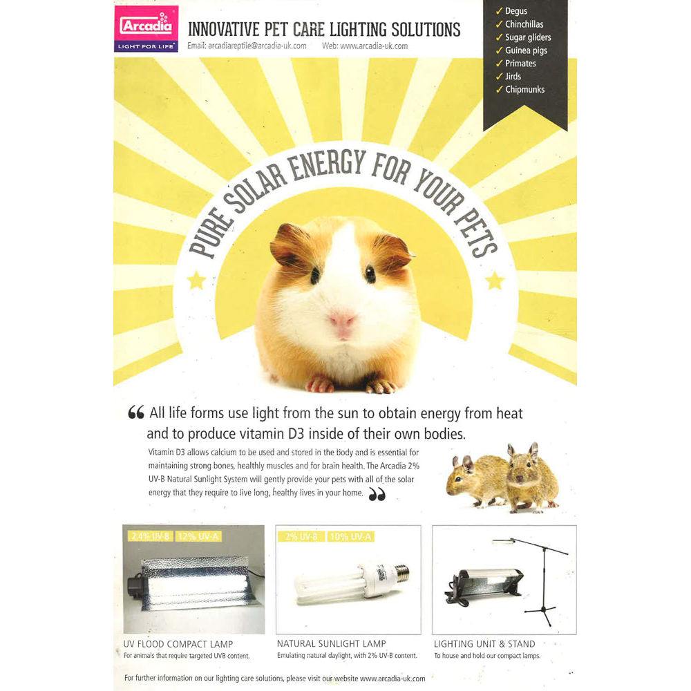 (BX) PRACTICAL PETS SERIES: CHOOUSING PETS ของคุณ