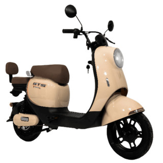 Scooter Retro 500w GTS Premiun
