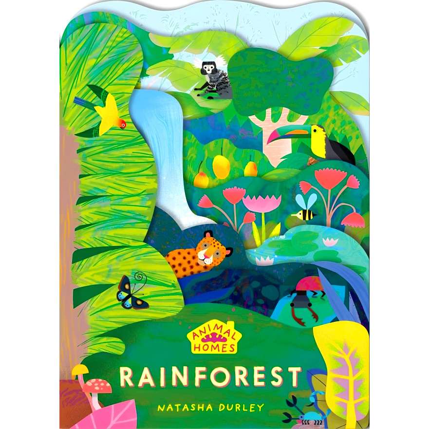 (BX) ANIMAL HOMES: RAINFOREST