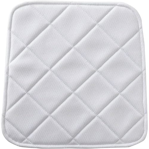 Mizuno Baseball Sew Pad Hip Large 52ZB001 00: White