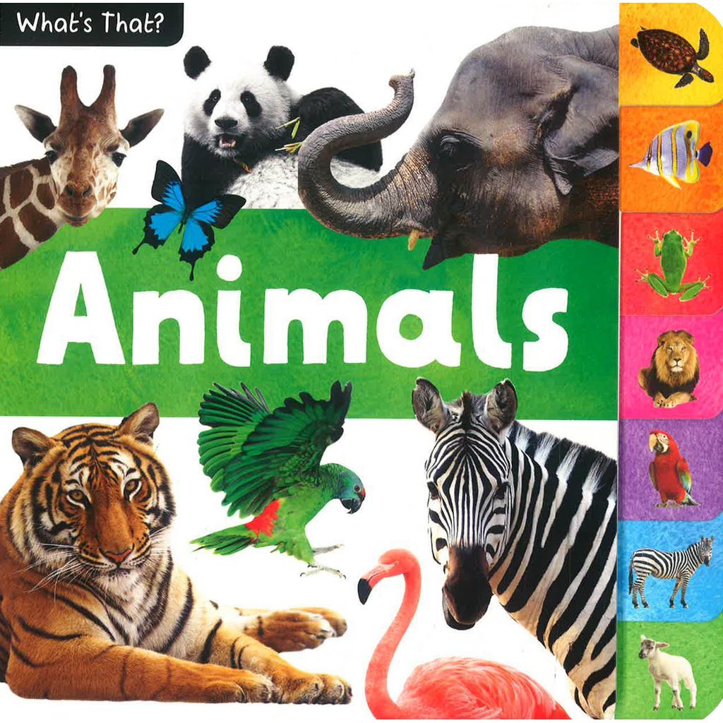 (BX) WHATS THAT? ANIMALS