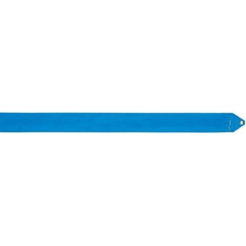 SASAKI Rhythmic Gymnastics Equipment Ribbon International Federation Certified Japan Association Ray