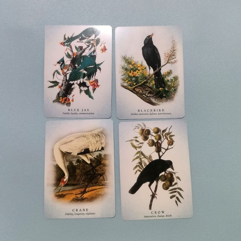 10.5*7.5 ซม.The Spiritual Meaning of Birds Oracle Deck, 50 ชิ้น Nature-Inspired Fortune Telling Card