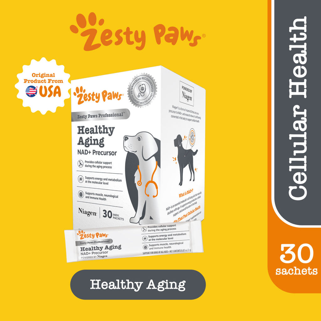 Zesty Paws Healthy Aging Niagen Powder For Dog 30 Sachets(EXP:03 2028)