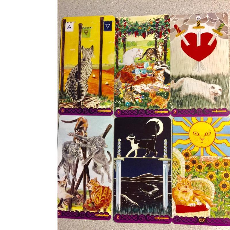 ไพ่ทาโรต์ Mini Size Tarot of Pagan Cats All English Tarot Board Game Cards Family Gathering