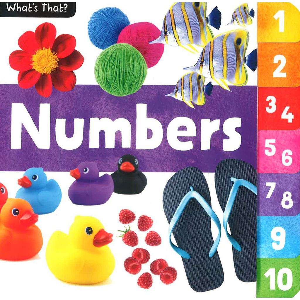 (BX) WHATS THAT? ตัวเลข