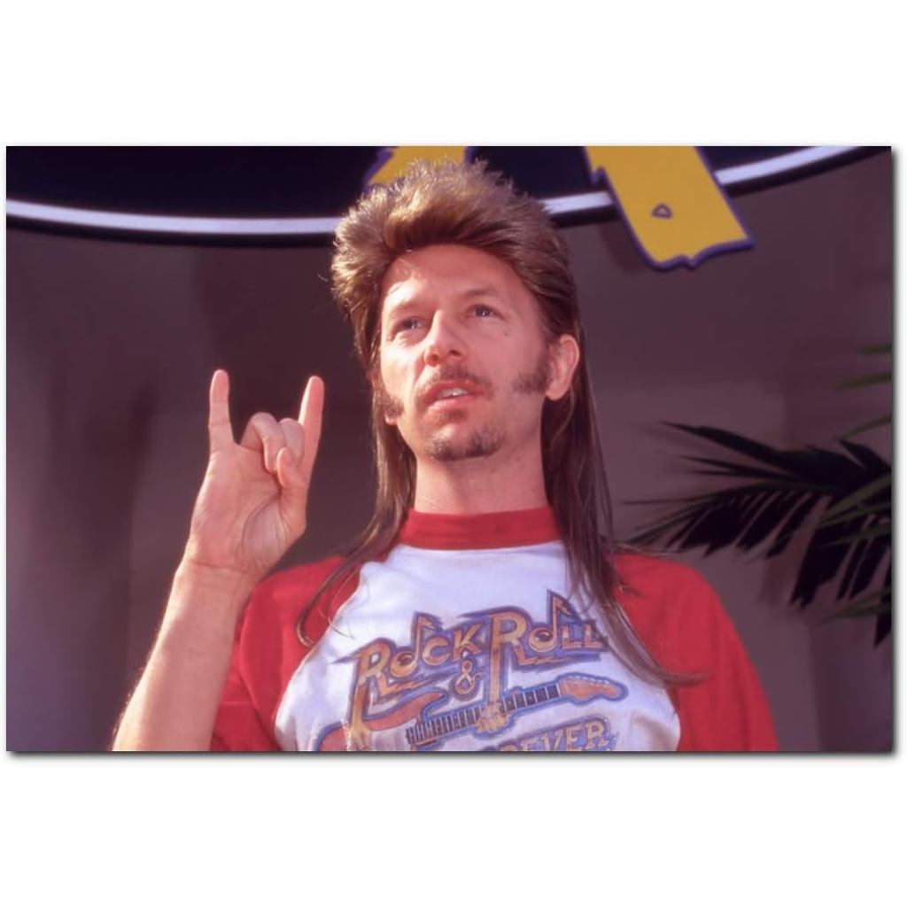 Joe Dirt โปสเตอร์ 3 X 9 นิ้วพร้อมกรอบสําหรับห้องนั่งเล่นสํานักงานหอพักห้องเด็กห้องนอนสตูดิโอ David S