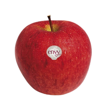 [2086262] Fg Apple Envy No.70 แอปเปิ้ลเอ็นวี่ เบอร์ 70
