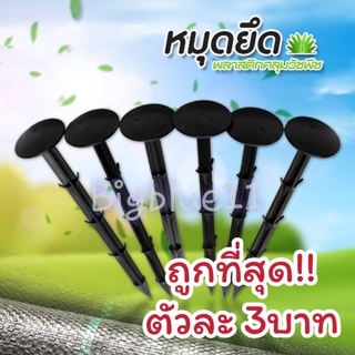 Bigblue ตัวละ3 บาท หมุดปักผ้าคลุมวัชพืช -หมุด PT 6 นิ้ว ( 15 CM) ทรงตะปู (12199001)