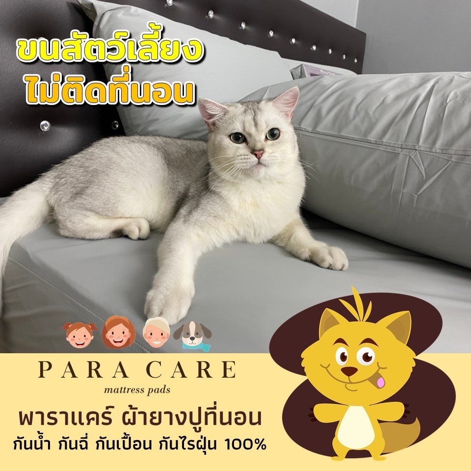 รุ่น 1 พาราแคร์ ผ้ายางคลุม รองที่นอนกันน้ำ กันฉี่ กันเปื้อน กันไรฝุ่น
