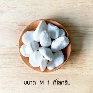 หินแต่งสวน หินแม่น้ำ หินตู้ปลา คุณภาพพรีเมี่ยม เกรด A สีขาว สีเทา สีดำ ขนาด S M L XL ปูทางเดิน ตกแต่ง สวน สระว่ายน้ำ