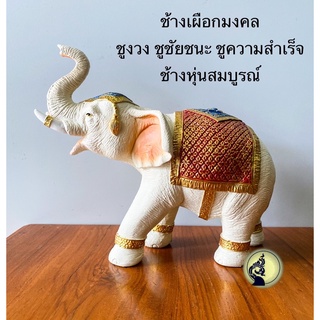 ช้าง ช้างเผือกมงคล ช้างนำโชค ช้างแก้บน ช้างตั้งศาล ชูความสำเร็จรุ่งเรือง ทรงสวยสมบูรณ์