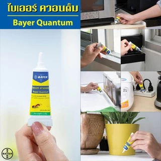 Quantum เจลกำจัดมด ควอนตั้ม 12 กรัม (แพ็ก 2)