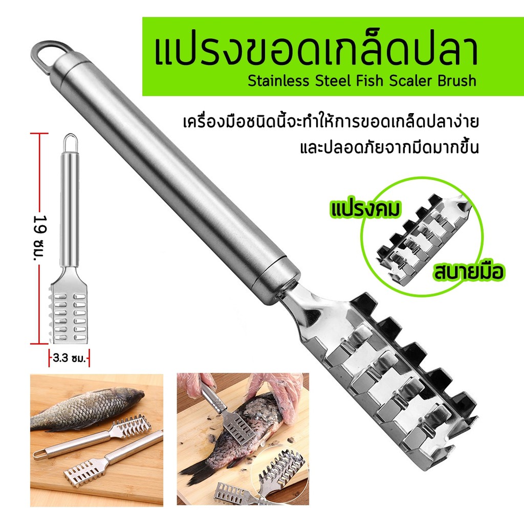 แปรงขอดเกล็ดปลา วัสดุสแตนเลส SCALER