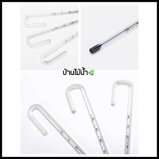 เทอร์โมมิเตอร์ Thermometer ตู้ปลา ตู้ไม้น้ำ เทอร์โมมิเตอร์ติดกระจก เทอร์โมมิเตอร์แขวน | บ้านไม้น้ำ🌿