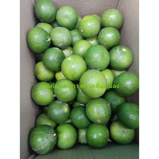 มะนาวแป้นเบอร์400/5kg