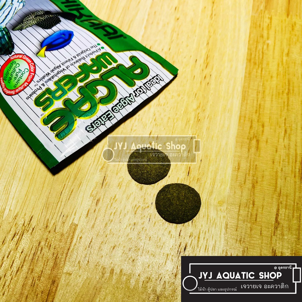 อาหารปลาซัคเกอร์ Hikari Algae Wafer อาหารปลา รูปที่ 4