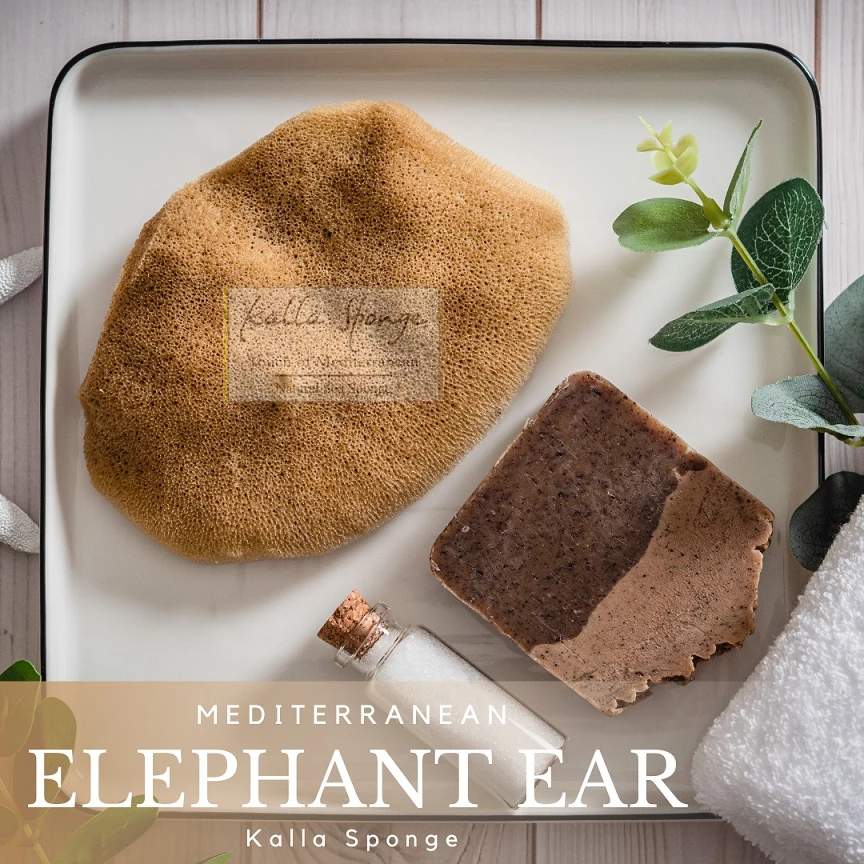 ฟองน้ำธรรมชาติ KALLA SPONGE ชนิด Elephant Ear สีน้ำตาล ฟองน้ำ สำหรับล้างหน้าและอาบน้ำ ทุกเพศทุกวัย