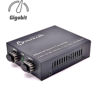 ⚡️Gigabit SFP Media Converter (2 SFP + 2 GE)