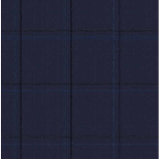 Elegant Solanus Drago Brand Suiting Fabrics Check Pattern A096_203_03