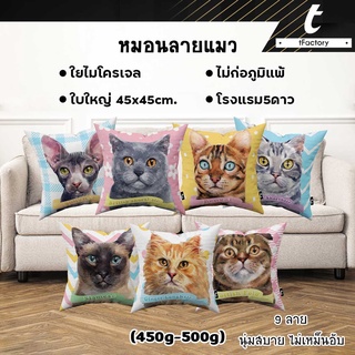 หมอนอิง น้องแมว tFactory หมอนน้องแมว ลาย  2 ด้าน สกรีนเต็มใบSize 40x40 / 45x45 cm. ใยไมโครเจล เกรดAAA P25 by inkspa