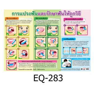 การแปรงฟันและรักษาฟันให้ถูกวิธี EQ-283 สื่อโปสเตอร์ภาพ กระดาษ หุ้มพลาสติก