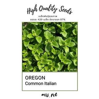 เมล็ดสมุนไพรฝรั่ง โอริกาโน่ Common Italian Oregano