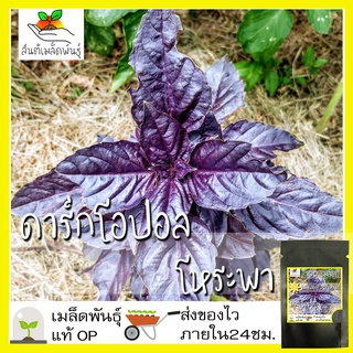 เมล็ดพันธุ์ ดาร์กโอปอล โหระพา 100 เมล็ด Dark Opal Basil เมล็ดพันธุ์แท้นำเข้าจากต่างประเทศ ปลูกผัก สวนครัว ถูกดี เพาะง่าย