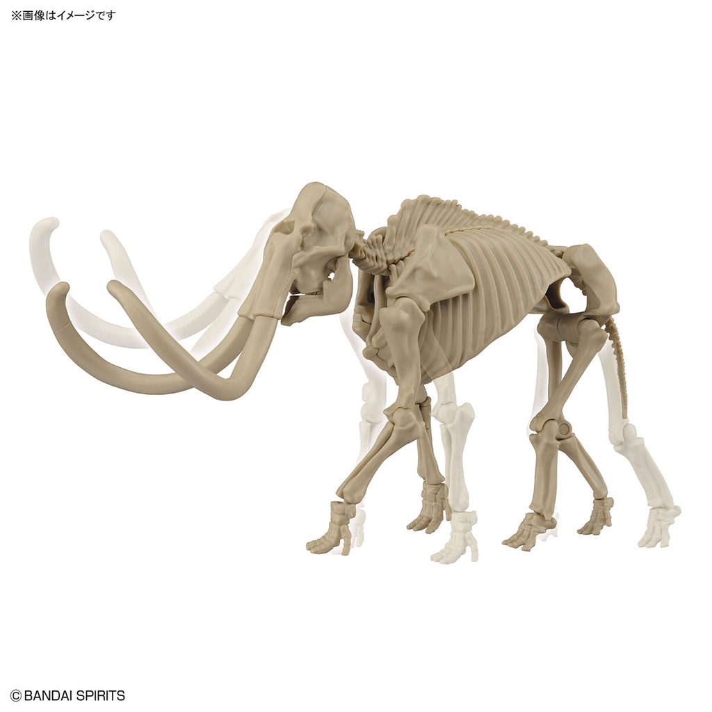 Exploring Lab Nature Mammoth ราคา ถูกที่สุด ดีลบีเคเค แกลเลอรีภาพที่ 8