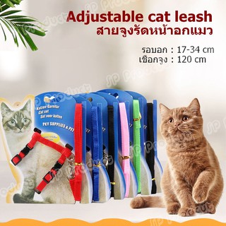 Adjustable Nylon Cat Leash สายจูง สายรัดอกน้องแมว