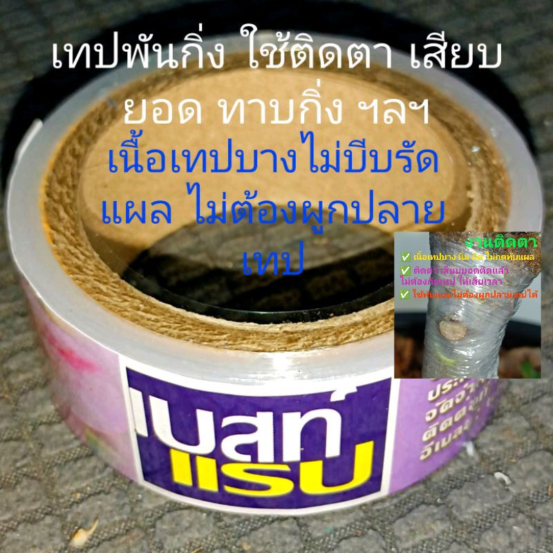 เทปพันกิ่ง ติดตาเสียบยอด ฝรั่งองุ่นกุหลาบมะม่วงพืชตระกูลส้มชวนชมฯลฯ👍นิยมใช้เนื้อเทปบางเหนียวนิ่มยืด
