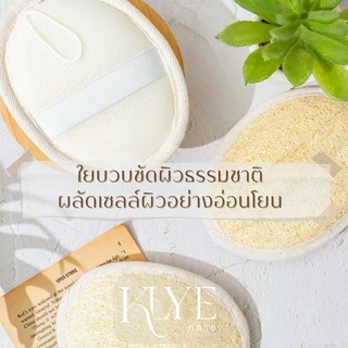 KLYE /คลาย/ ใยบวบขัดผิว มีสายคาด Loofa Scrubber ใยบวบ ขัดตัว ขัดผิวกาย อ่อนโยน จากธรรมชาติ ไม่บาดผิว