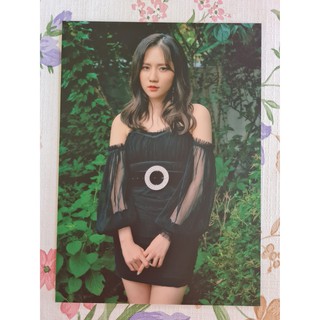 [แท้/พร้อมส่ง] โปสการ์ด จิน Jin คอนเสิร์ต Lovelyz ONTACT Concert Deep Forest Postcard