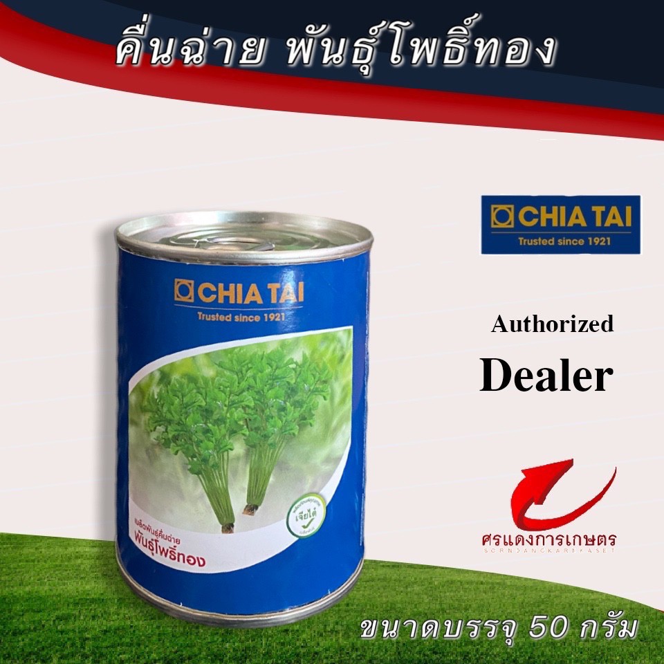 เมล็ดพันธุ์ คื่นฉ่ายโพธิ์ทอง 50g