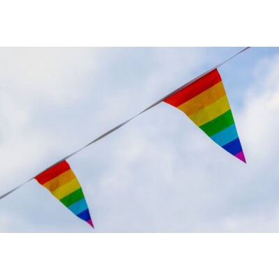 ธงราวสามเหลี่ยม ธงราวสีรุ้ง ธงราว ธงสามเหลี่ยม ธงหลากสี Rainbow LGBT PRIDE Pennant Pendant Bunting String Flag Deco ราคา ถูกที่สุด ดีลบีเคเค แกลเลอรีภาพที่ 7