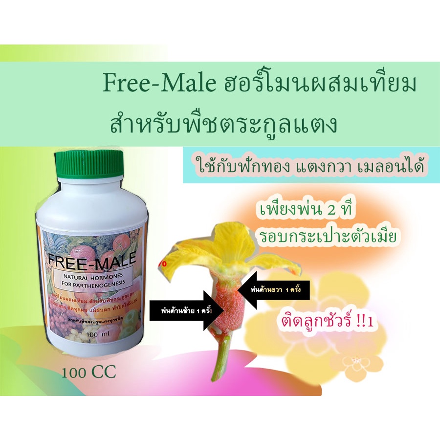 Free-Male ฮอร์โมนผสมเทียม สำหรับพืชตระกูลแตง ไม่ง้อแมลง ไม่ต้องผสมเอง ทุ่นแรง ใช้กับเมลอน แตง ฟักทองได้