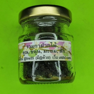 กาฝาก รวม ไม้คูณ ไม้ขนุน ไม้มะยม ไม้สัก ชุบ น้ำมัน รวมว่าน