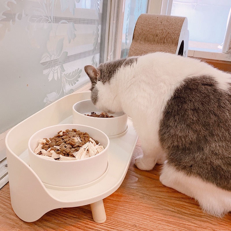 [Little summer] พร้อมส่ง  ชามอาหารแมวพร้อมฐานกันหก ชามอาหารสัตว์เลี้ยง ชามอาหารแมว ชามอาหารสุนัขพันธุ์เล็ก