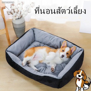 🐱🐶 แมว ◐เสื่อ หมาใหญ่ ที่นอนสัตว์เลี้ยง บ้านแมว บ้านหมา ที่นอนหมา